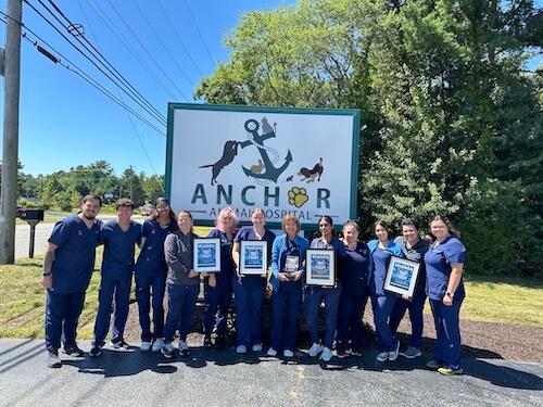 Animal Hospital in Dartmouth MA