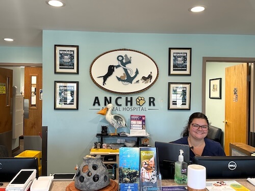 Independently Owned Animal Hospital in Dartmouth MA