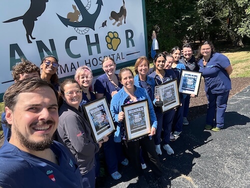 Staff at Animal Hospital in Dartmouth MA