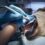 Preventive and Emergency Dental for Pets in Massachusetts