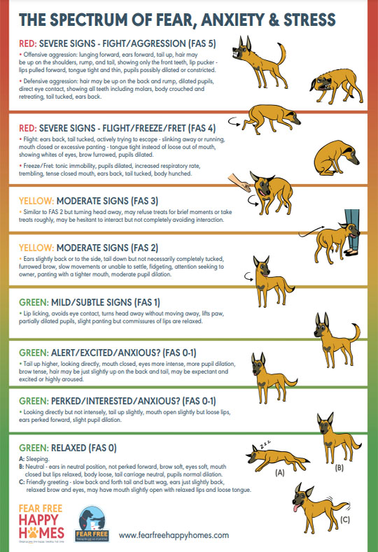 FAS Ladder for Dogs