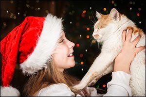 holiday-pet-adoptions