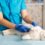 Spring Check-ups for Pets: Veterinary Care in Massachusetts