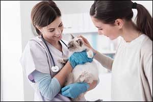 Vaccinations and Vet Check-Ups for South Coast Pets