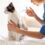 Vaccines for Your Pet: Preventative Treatments for Cats and Dogs